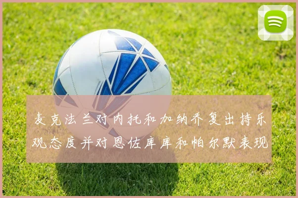 麦克法兰对内托和加纳乔复出持乐观态度并对恩佐库库和帕尔默表现表示满意